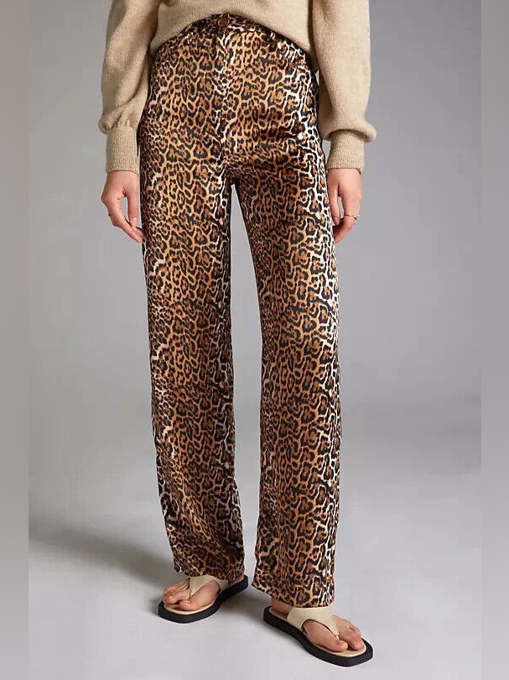 Anthropologie Ena Pelly Leopard Print Wide-Leg Pants